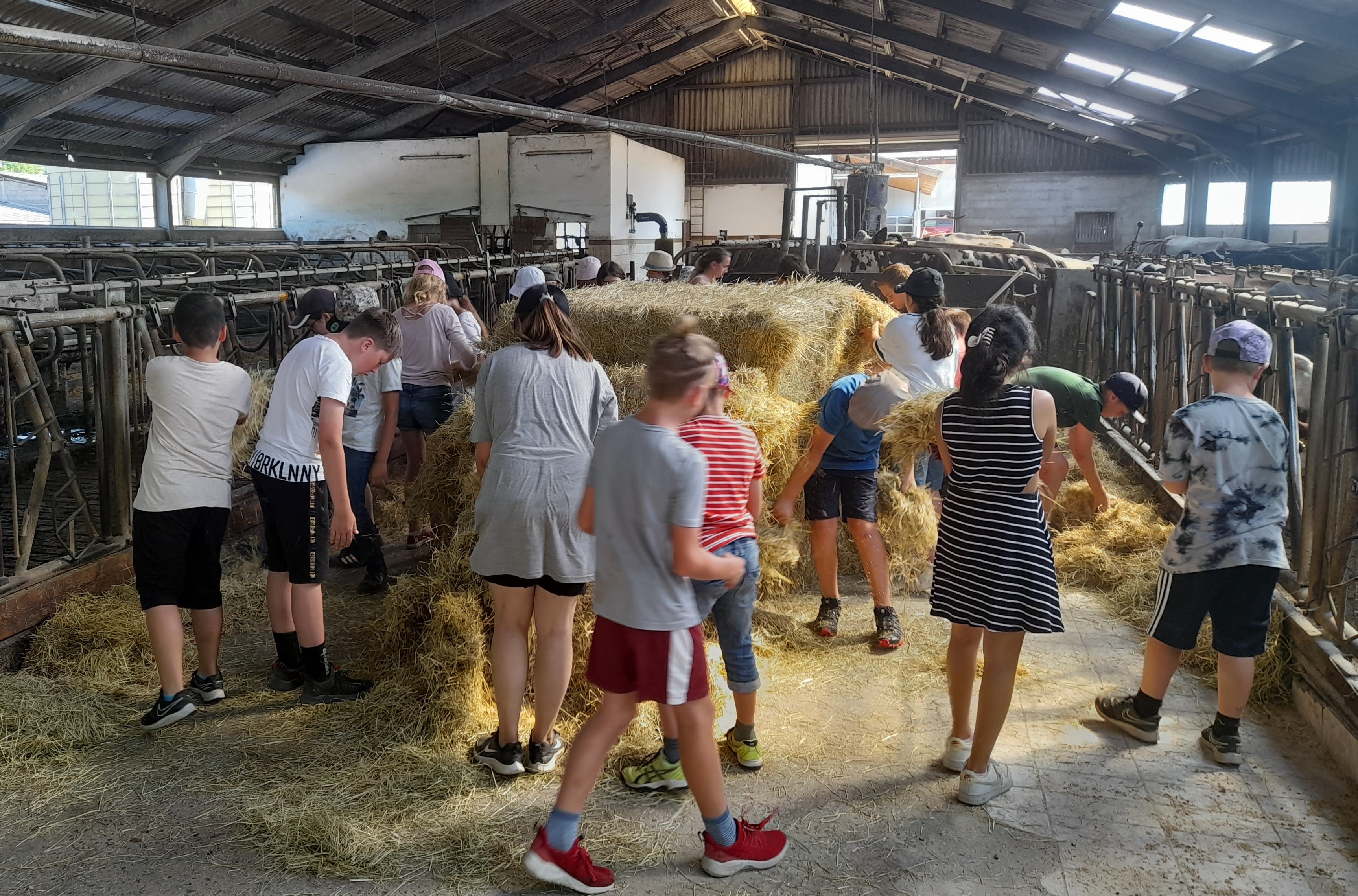 IGS-Selters - IGS Selters IGS-Selters - IGS Selters